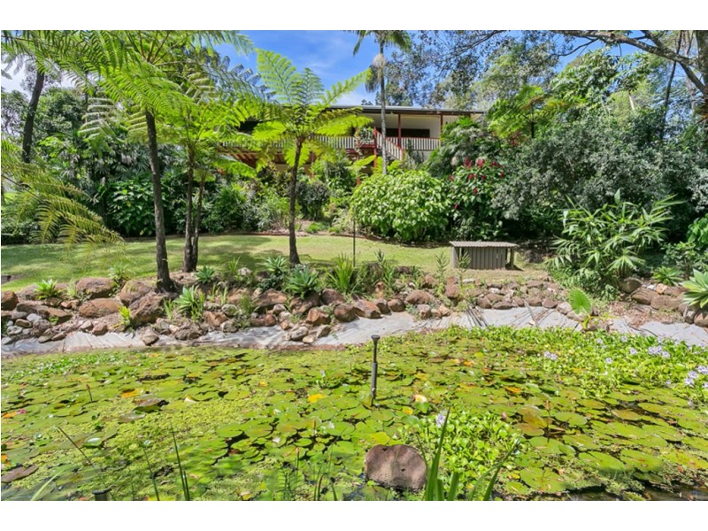 54 Masons Road, Kuranda QLD 4881