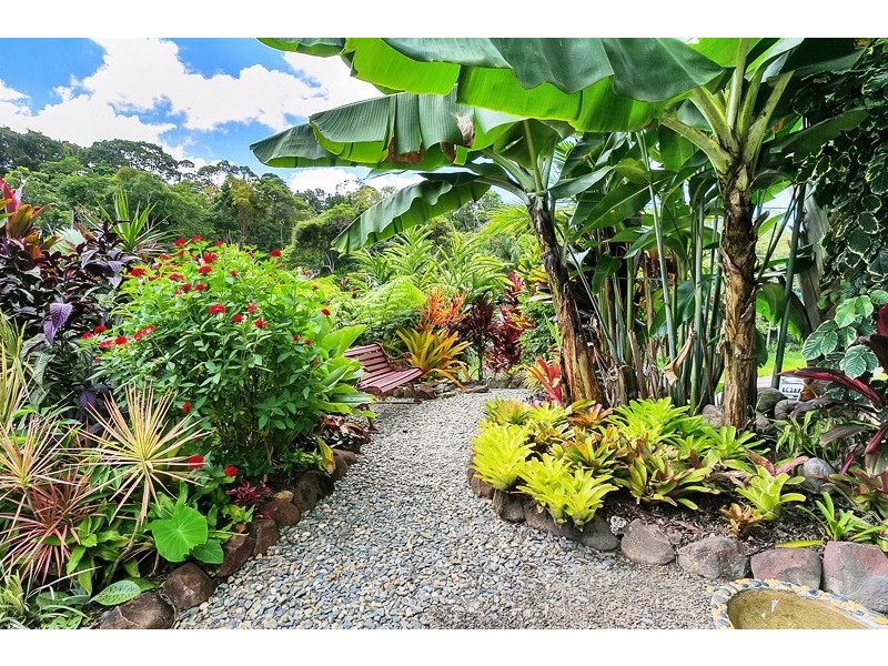 6 Tully Court, Kuranda QLD 4881