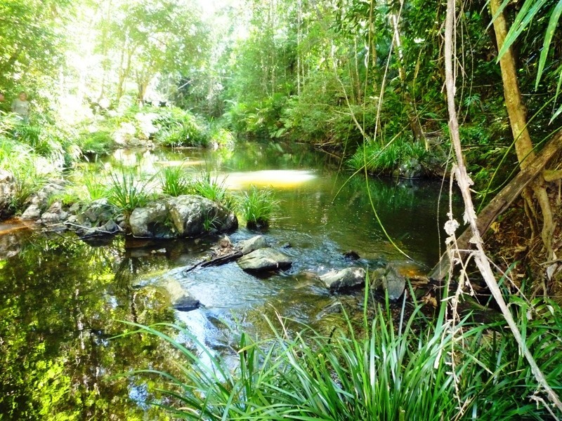 11 Butler Drive, Kuranda QLD 4881