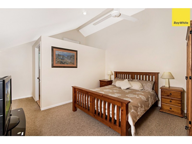 26 Trivia Street, Palm Cove QLD 4879