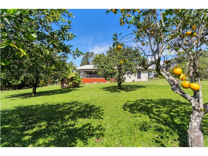 17 Greenhills Road, Kuranda QLD 4881