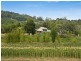 625 A Myocum Road, Byron Bay NSW 2481