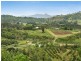 625 A Myocum Road, Byron Bay NSW 2481