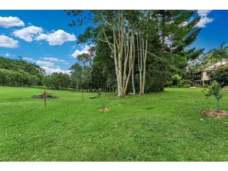 1006 Friday Hut Road, Binna Burra NSW 2479