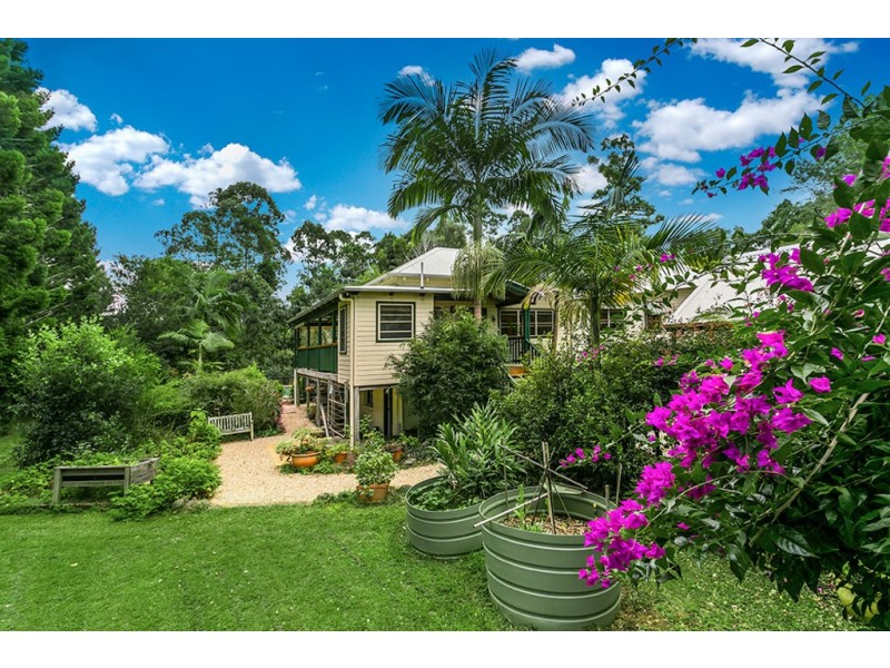 1006 Friday Hut Road, Binna Burra NSW 2479