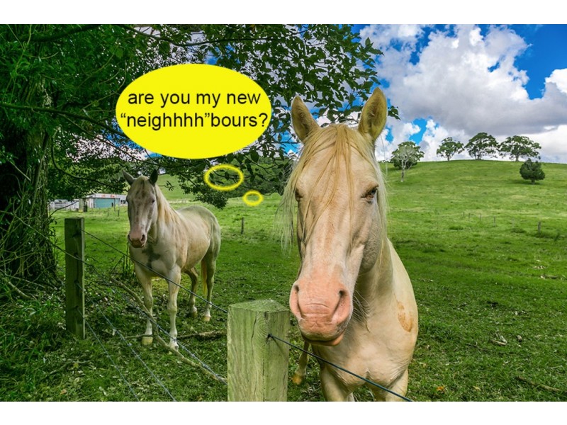 1006 Friday Hut Road, Binna Burra NSW 2479