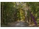 221 Kennedys Lane, Ewingsdale NSW 2481