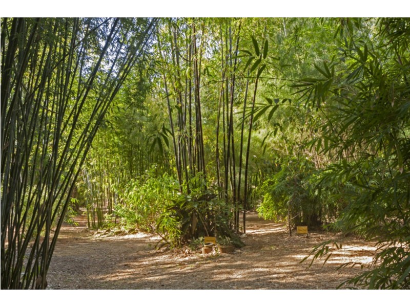 221 Kennedys Lane, Ewingsdale NSW 2481