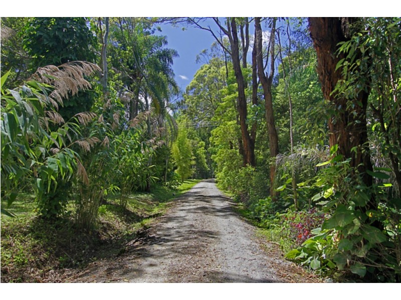 221 Kennedys Lane, Ewingsdale NSW 2481