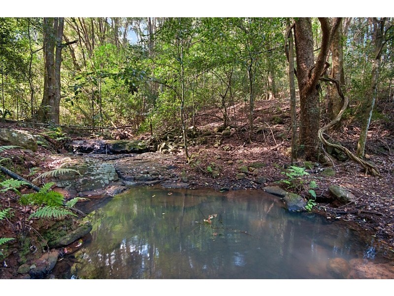 81 Lofts Road, Coorabell NSW 2479