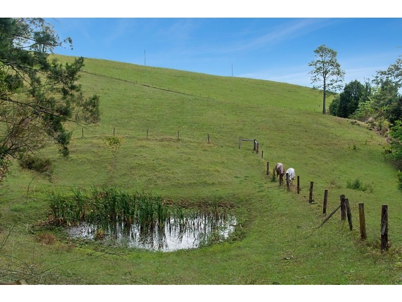 7 Tinderbox Road, Talofa NSW 2481