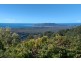 1681 Hinterland Way, Mcleods Shoot NSW 2479