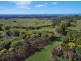 1681 Hinterland Way, Mcleods Shoot NSW 2479