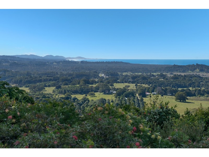 1681 Hinterland Way, Mcleods Shoot NSW 2479