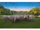 963 Main Arm Road, Main Arm NSW 2482