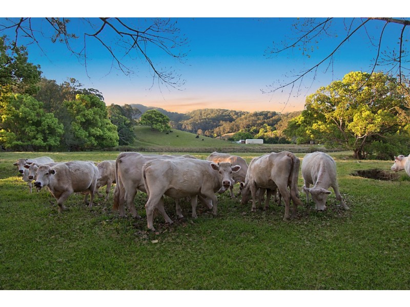 963 Main Arm Road, Main Arm NSW 2482