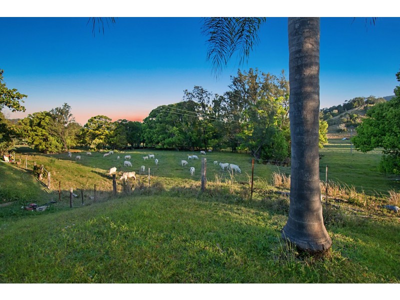 963 Main Arm Road, Main Arm NSW 2482