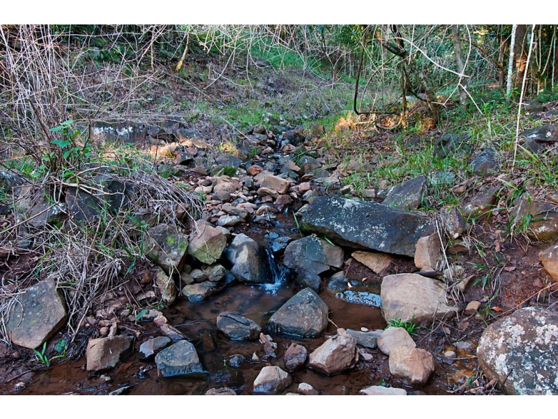 134 Flowers Road, Binna Burra NSW 2479