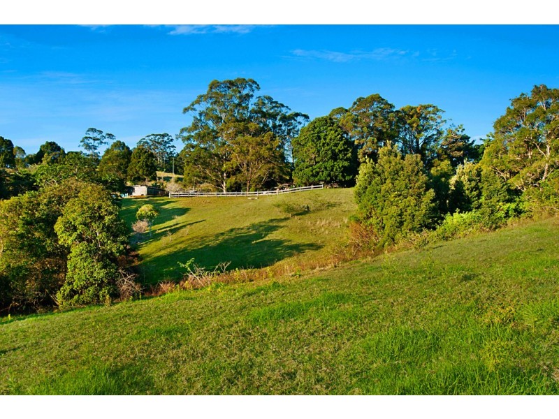 134 Flowers Road, Binna Burra NSW 2479