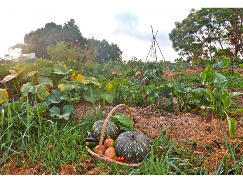 154 Waltons Road, Federal NSW 2480