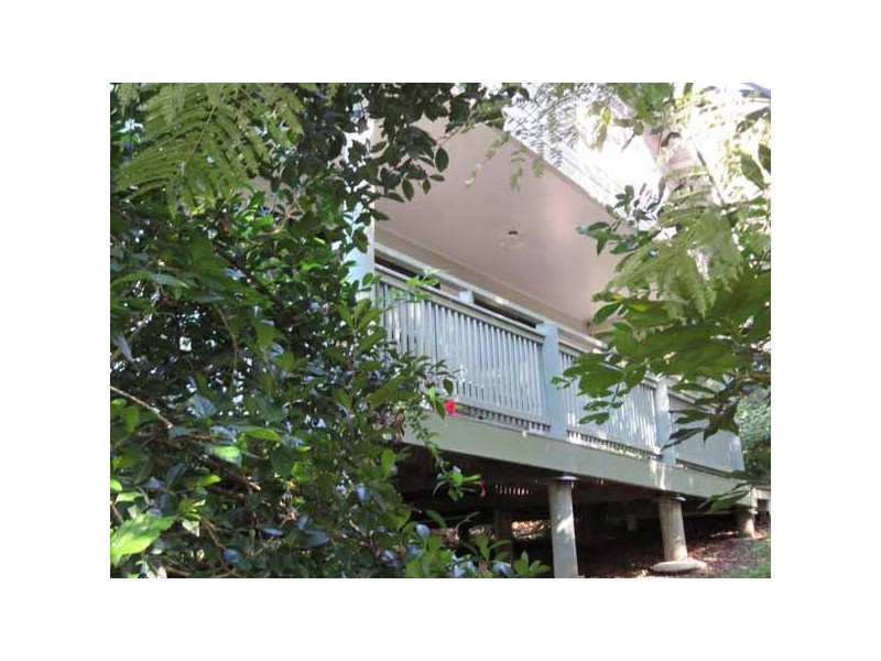 243 Coopers Shoot Rd, Coopers Shoot NSW 2479