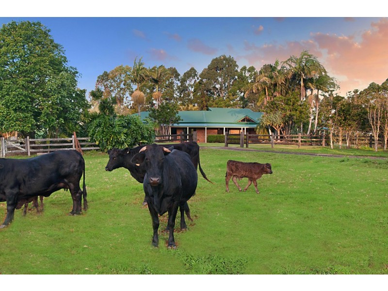 119 Lawlers Lane, Bangalow NSW 2479