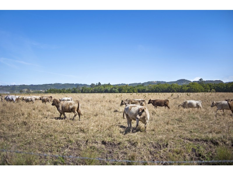 PT 16 Dingo Lane, Myocum NSW 2481