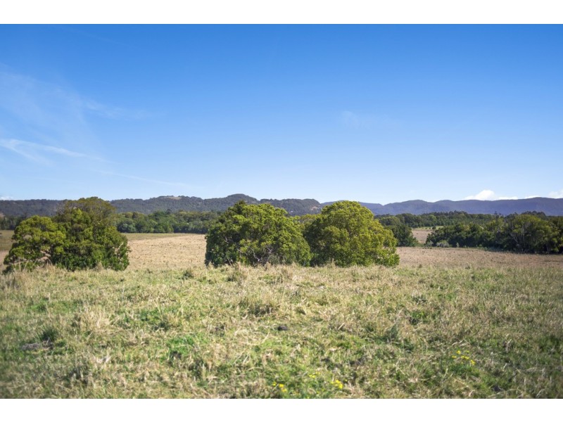 PT 16 Dingo Lane, Myocum NSW 2481