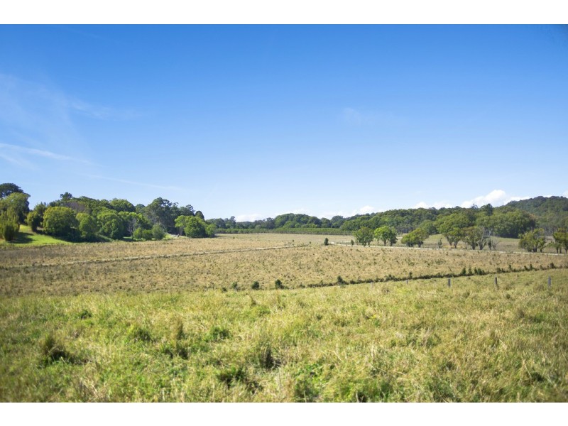 PT 16 Dingo Lane, Myocum NSW 2481