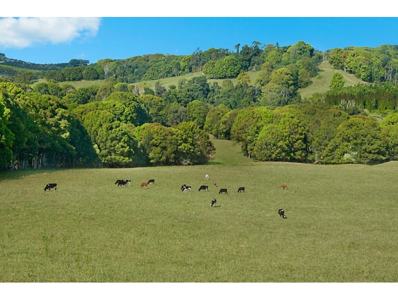 Lot 6 Possum Creek Road, Possum Creek NSW 2479