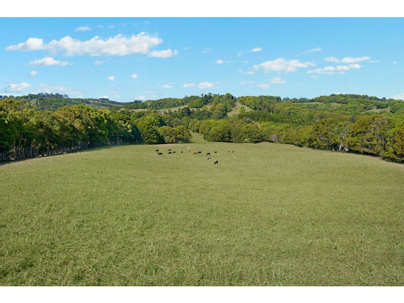 Lot 6 Possum Creek Road, Possum Creek NSW 2479