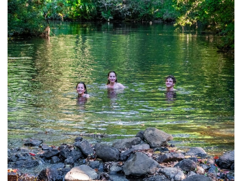 495 Friday Hut Road, Possum Creek NSW 2479