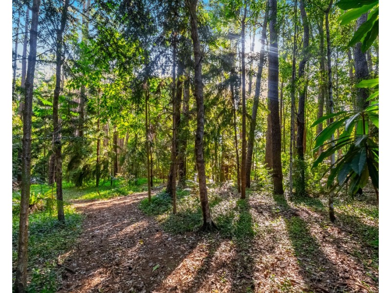 495 Friday Hut Road, Possum Creek NSW 2479