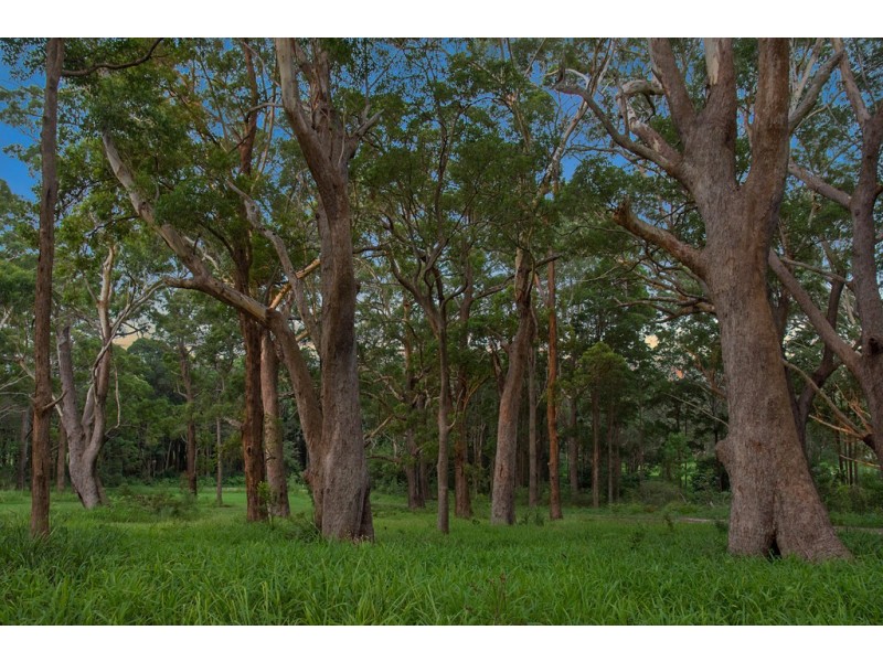 84 Owenia Way, Broken Head NSW 2481
