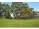 11b Parakeet Place, Mullumbimby NSW 2482