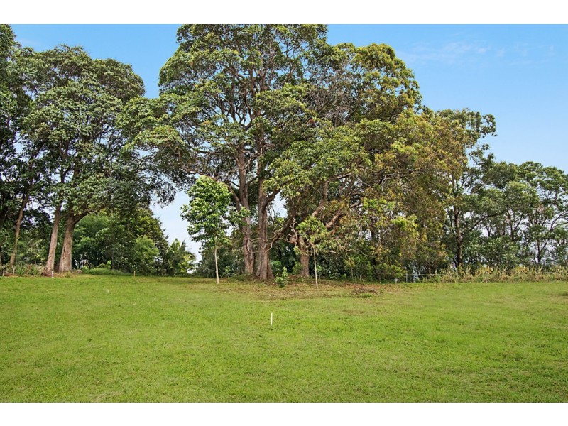 11b Parakeet Place, Mullumbimby NSW 2482
