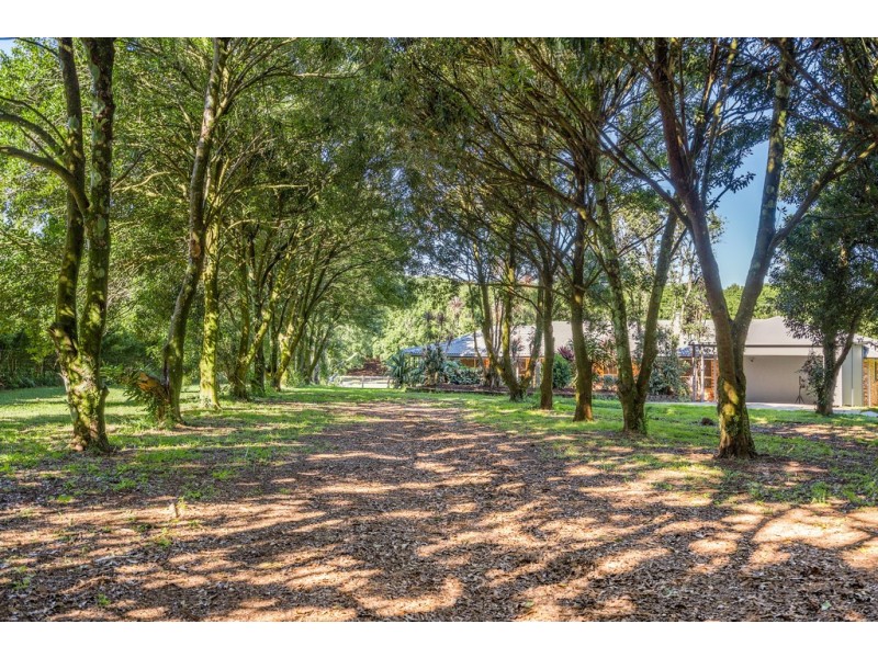 804 Fernleigh Road, Brooklet NSW 2479