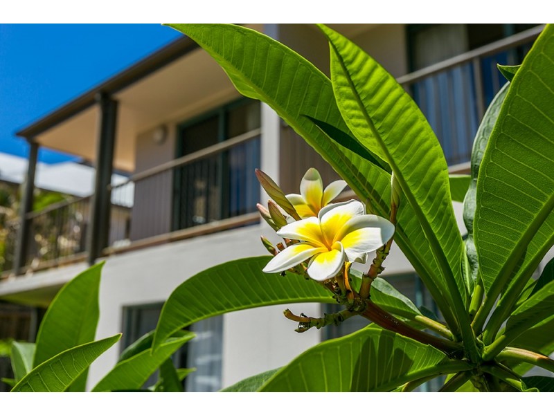 15/45 Shirley Street, Byron Bay NSW 2481