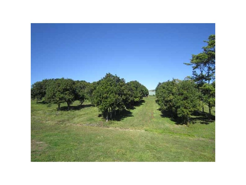 73 MYOCUM ROAD, Myocum NSW 2481