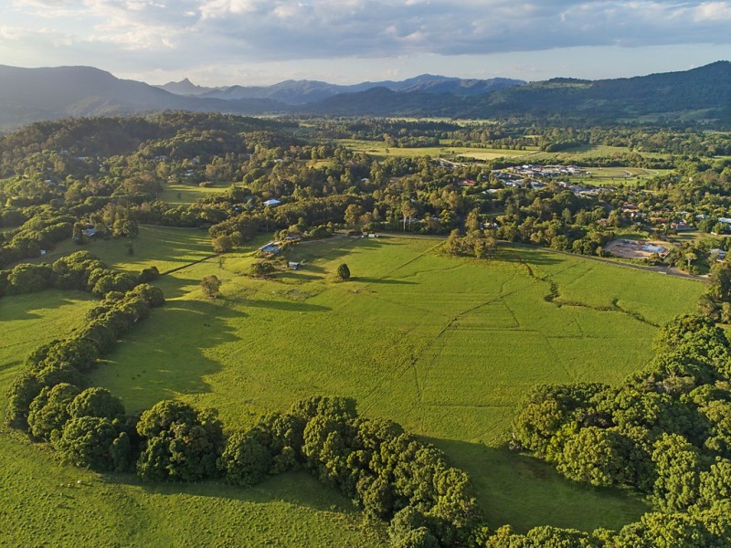 113 Left Bank Road, Mullumbimby NSW 2482