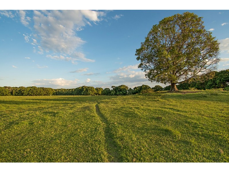 113 Left Bank Road, Mullumbimby NSW 2482