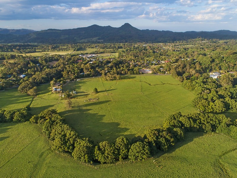 113 Left Bank Road, Mullumbimby NSW 2482