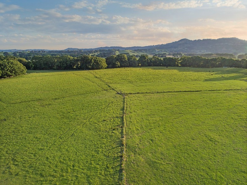 113 Left Bank Road, Mullumbimby NSW 2482