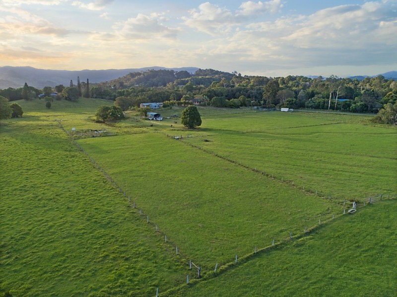 113 Left Bank Road, Mullumbimby NSW 2482