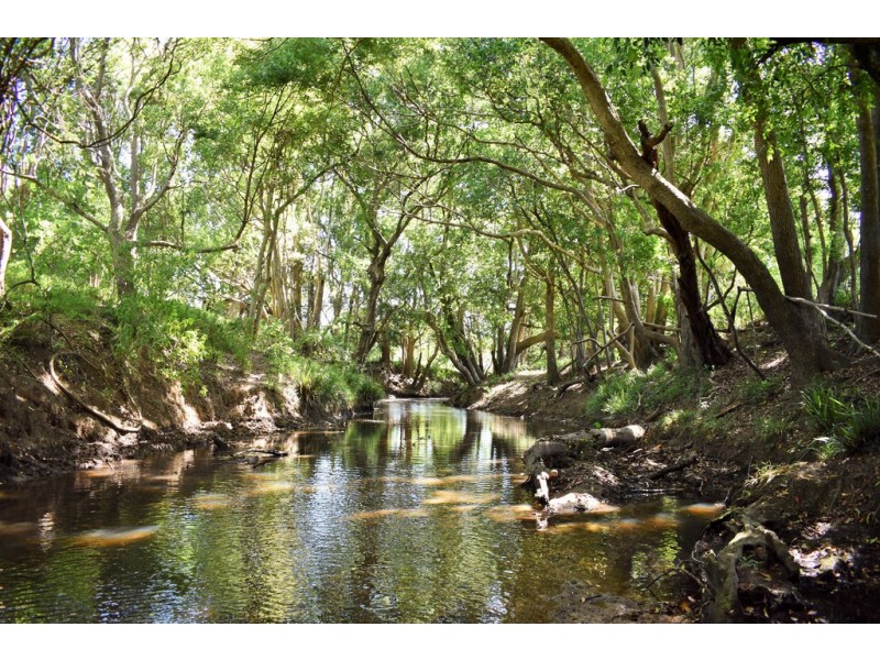 113 Left Bank Road, Mullumbimby NSW 2482