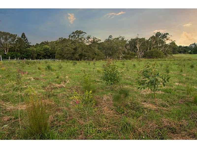 113 Left Bank Road, Mullumbimby NSW 2482