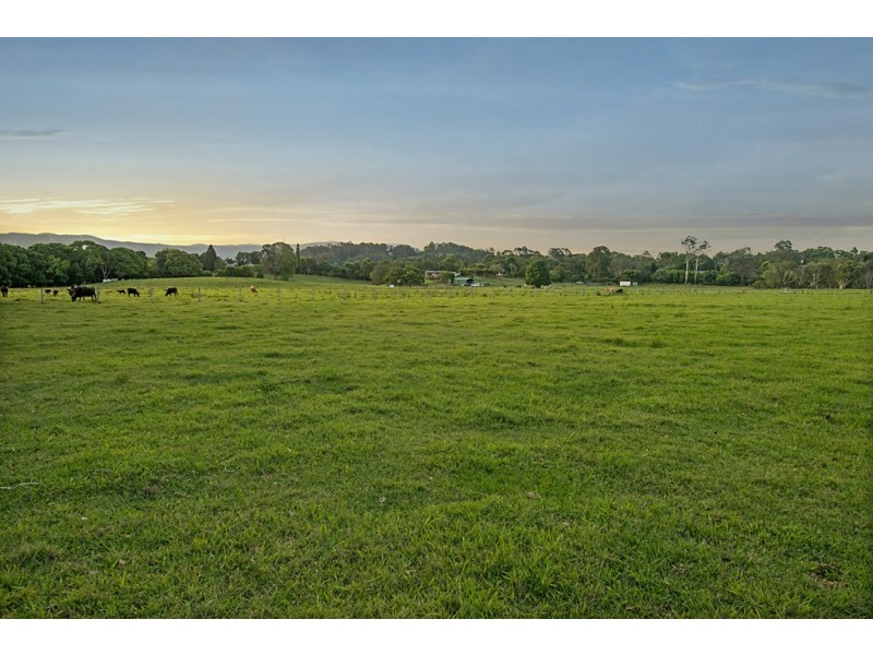 113 Left Bank Road, Mullumbimby NSW 2482