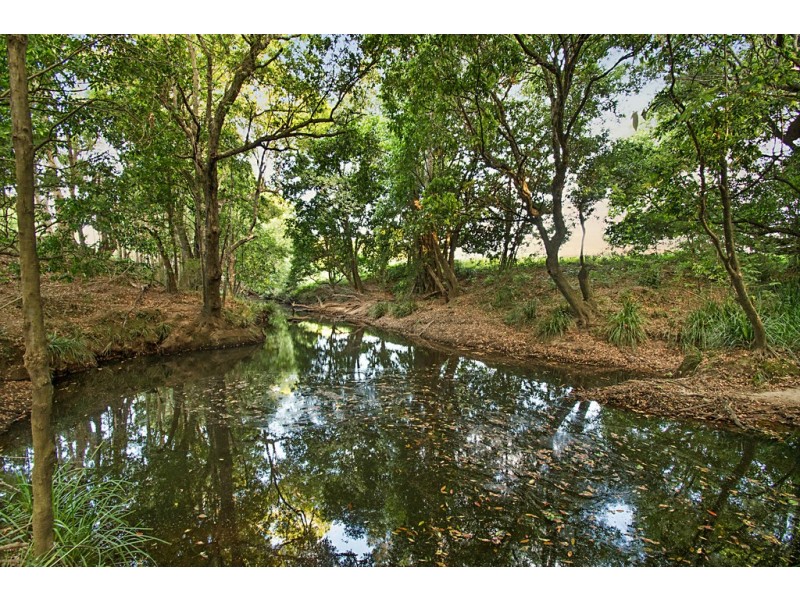 113 Left Bank Road, Mullumbimby NSW 2482