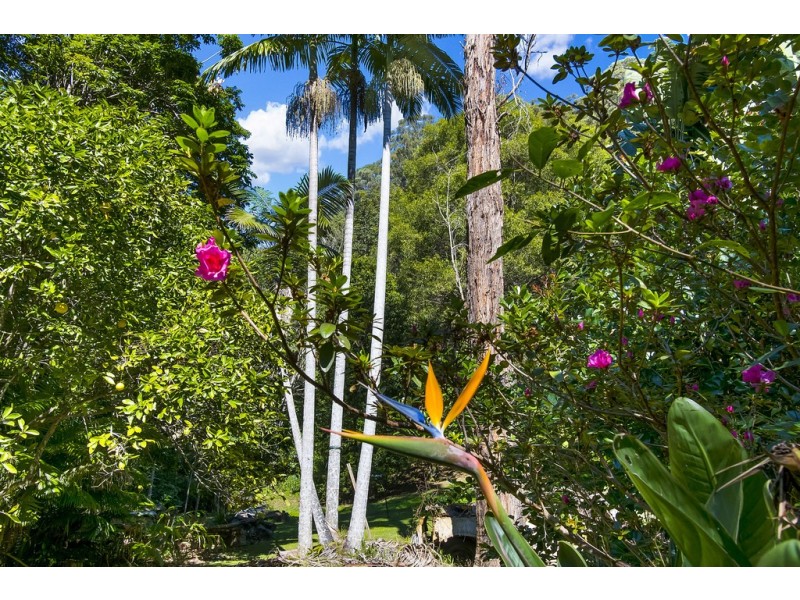 560 Middle Pocket Road, Middle Pocket NSW 2483