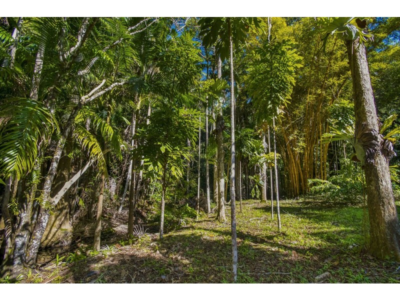 560 Middle Pocket Road, Middle Pocket NSW 2483